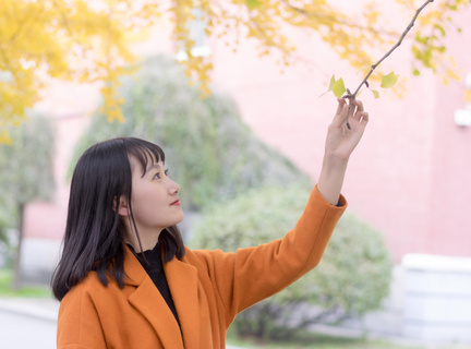 电磁炉低压过压保护