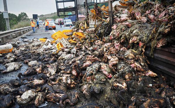多丽电磁炉1300不加热