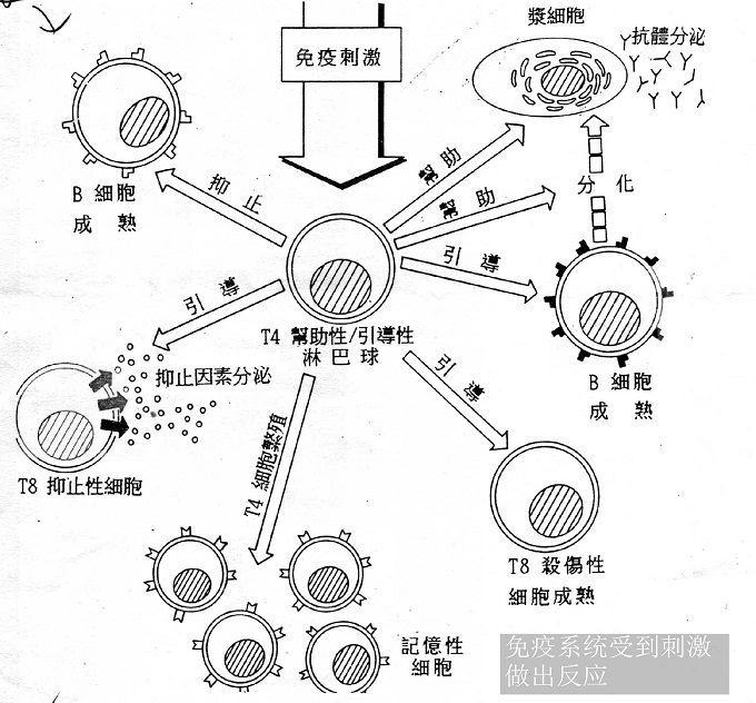 洗衣机只往一边一直转