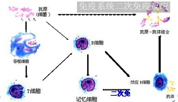 开关电源稳压控制原理