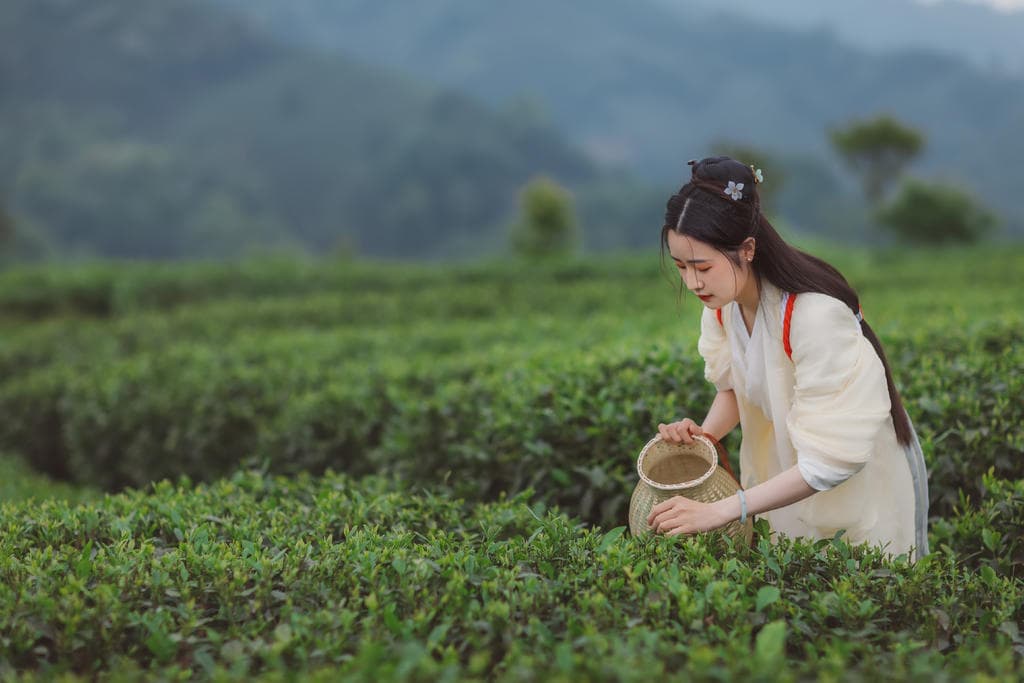 康佳陶瓷电茶壶两用